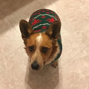 Meet your Posher, Sierra